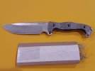 Busse NFNO 1.jpg