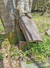 Tree-vs-tombstone-II.jpg