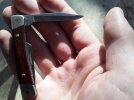 20220613_081747.jpg