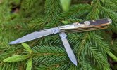 Little-Barlow-on-bough.jpg