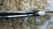 spydercotuff 007.jpg