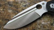 spydercotuff 002.jpg