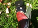 ImageUploadedByTapatalk1347657228.321542.jpg ImageUploadedByTapatalk1347657228.321542.jpg