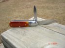 gec3:8-1.jpg