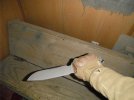 DSCF1420.jpg