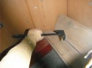 DSCF1426.jpg