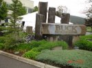 DSC07435.JPG