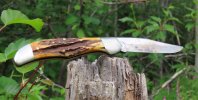 IMG_4032.JPG