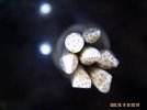 Bamboo Shader-2a.jpg