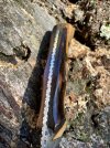 bushcraft-forum-detail.jpg bushcraft-forum-detail.jpg
