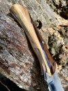 bushcraft-forum-detail2.jpg bushcraft-forum-detail2.jpg