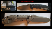 ZT Hinderer 0560.PNG