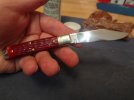 DSC07228.JPG