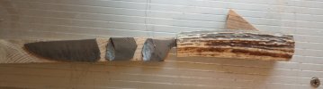 IMG_20220624_153720668~2.jpg