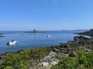 Ocean-Point.jpg