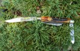 CS-Stockman-on-juniper.jpg