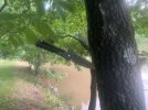 84C918ED-385B-4F4B-9BB3-5E8D0479D429.jpeg