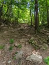 PXL_20220628_095027972.jpg