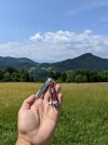 PXL_20220628_091844380.jpg