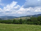 PXL_20220628_093350306.jpg