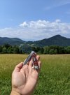 PXL_20220628_091844380.jpg