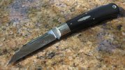 gecspydercostone 001.jpg