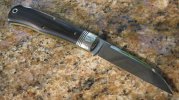 gecspydercostone 003.jpg