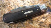 gecspydercostone 004.jpg