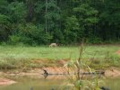 DSCF4173.jpg