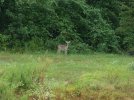 DSCF4178.jpg