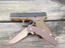 G19FDE1s8.jpg