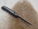 Dave's s35vn flipper 016.jpg