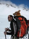 jason-hiking-dog-in-his-backpack.jpg