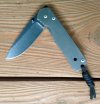 large regular sebenza 1998.jpg
