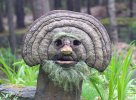 Bearded-1.jpg