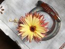 Humpback_fleur.jpg