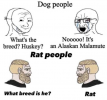 1657160936148.png