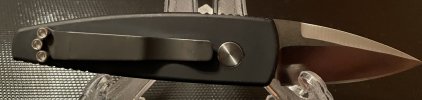 Protech Stinger (2).JPG
