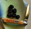 Blackberry and whiskey.JPG