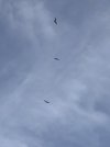 D71915AD-873C-46B0-9363-23C639983442.jpeg