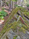 Ledge-with-Le-Pocket.jpg