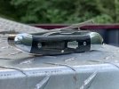 micartacopperhead4.JPG