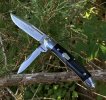 micartacopperhead7.JPG