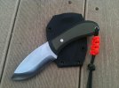 recurve2.jpg