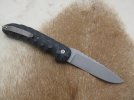 Dave's s35vn flipper 010.jpg