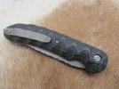 Dave's s35vn flipper 004.jpg