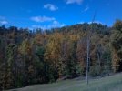2012-10-069514-14-0995472.jpg