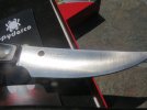 Spyderco FB46GP Bow River (2).JPG