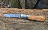Remington-Barlow-on-red-rock.jpg