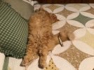 120B200D-C5C6-4BD9-9144-8C7D6BD37505.jpeg